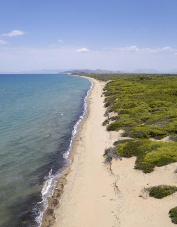 ΠΑΡΑΛΙΑ ΜΑΝΩΛΑΔΑΣ