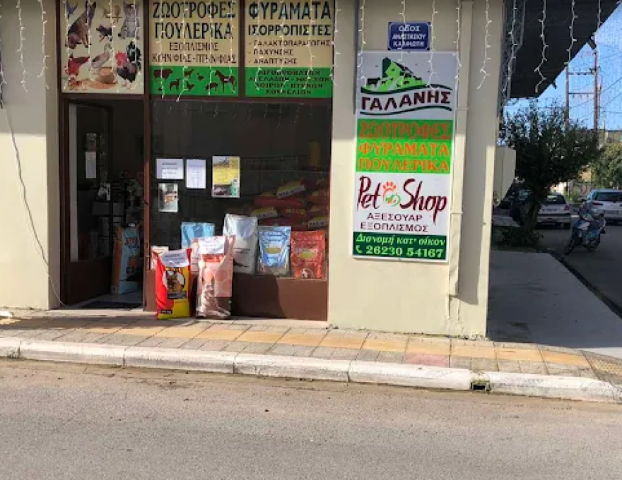 ΓΑΛΑΝΗΣ ΕΥΘΥΜΙΟΣ2