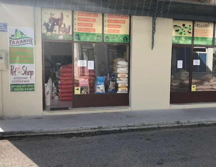 ΓΑΛΑΝΗΣ ΕΥΘΥΜΙΟΣ1