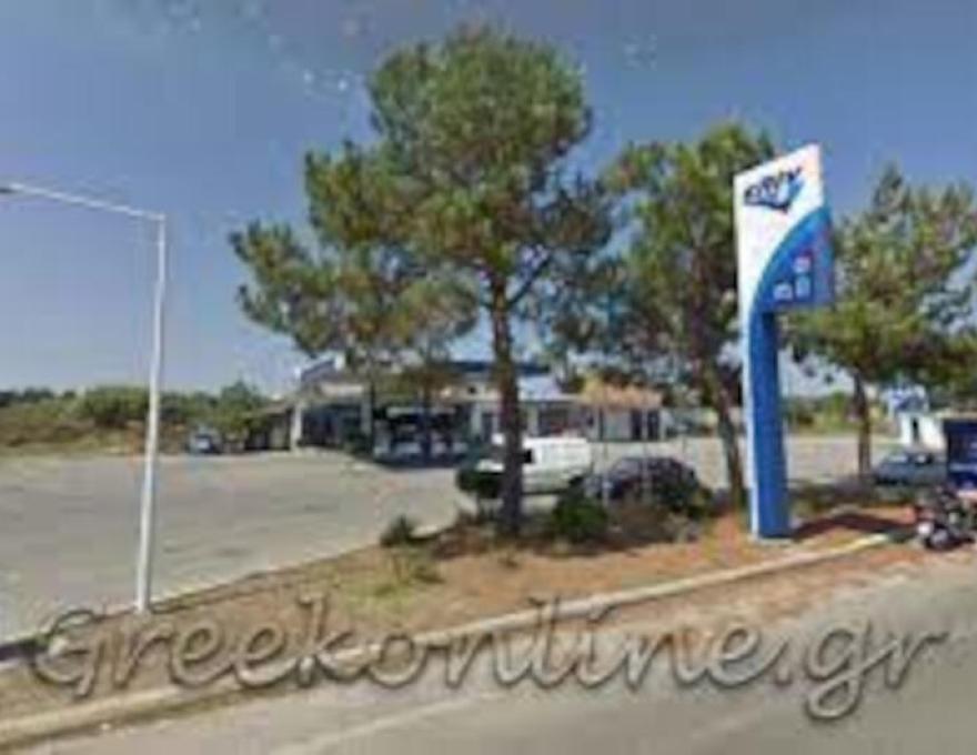 ΕΛΙΝ - ΝΙΚΟΛΟΠΟΥΛΟΣ0