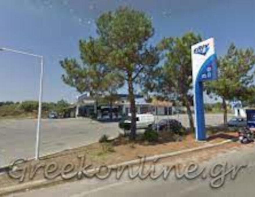 ΕΛΙΝ - ΝΙΚΟΛΟΠΟΥΛΟΣ0