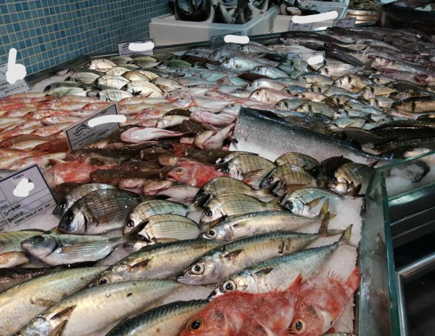 Η ΤΡΑΤΑ ΤΟΥ ΙΟΝΙΟΥ4