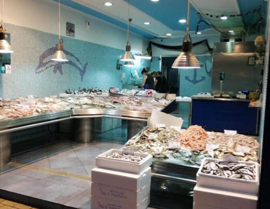 Η ΤΡΑΤΑ ΤΟΥ ΙΟΝΙΟΥ1