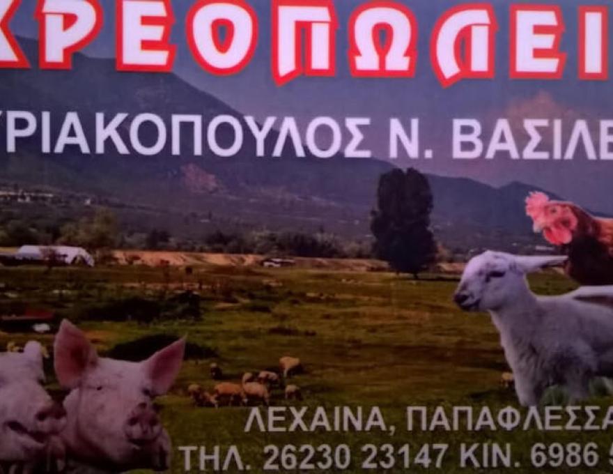 ΚΥΡΙΑΚΟΠΟΥΛΟΣ ΒΑΣΙΛΗΣ ΚΡΕΟΠΩΛΕΙΟ1