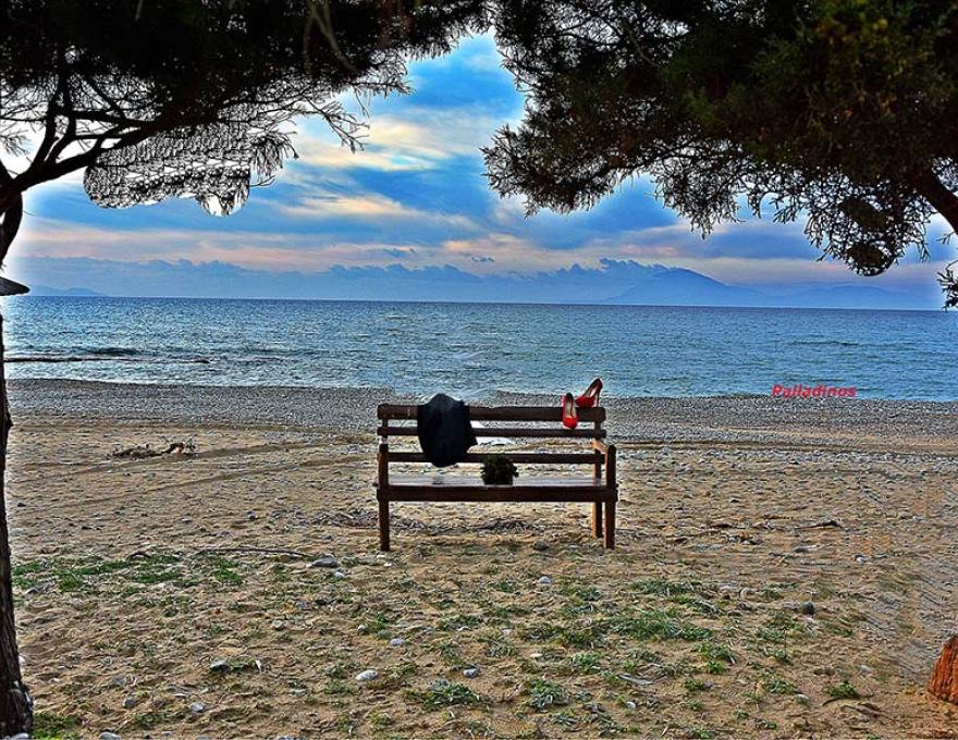 ΠΑΛΛΑΔΙΝΟΣ ΑΝΔΡΕΑΣ4