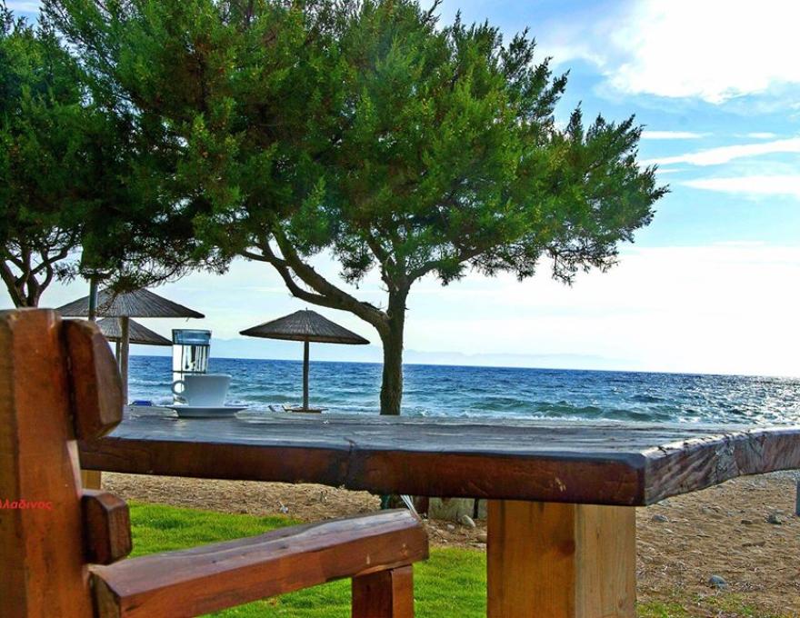 ΠΑΛΛΑΔΙΝΟΣ ΑΝΔΡΕΑΣ3