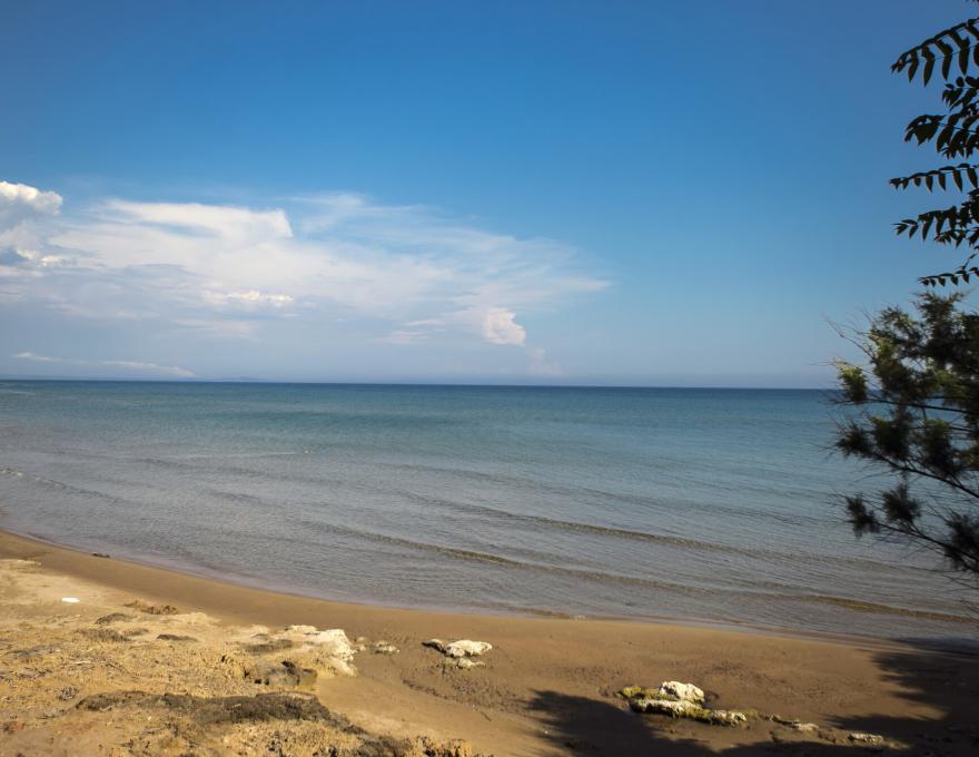 ΠΑΡΑΛΙΑ ΓΛΥΦΑ0