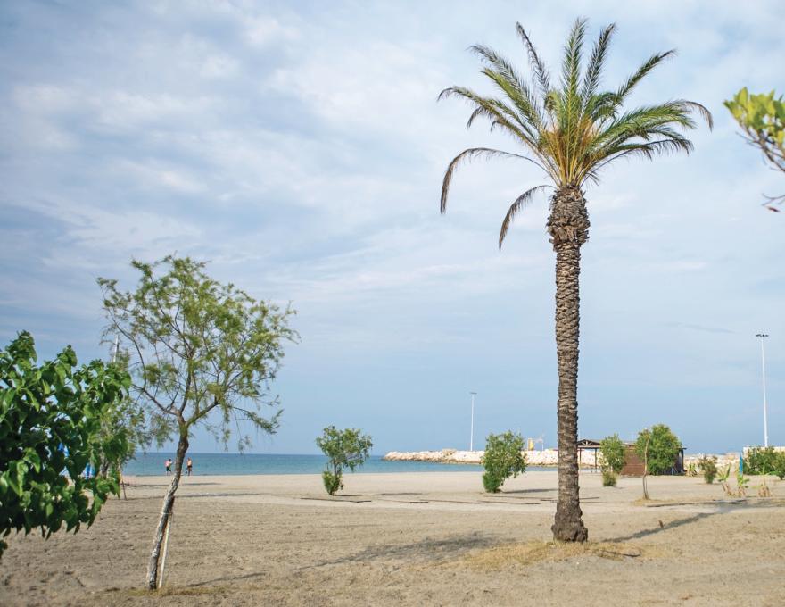 ΠΑΡΑΛΙΑ ΚΥΛΛΗΝΗΣ (ΚΑΣΤΡΟ)3