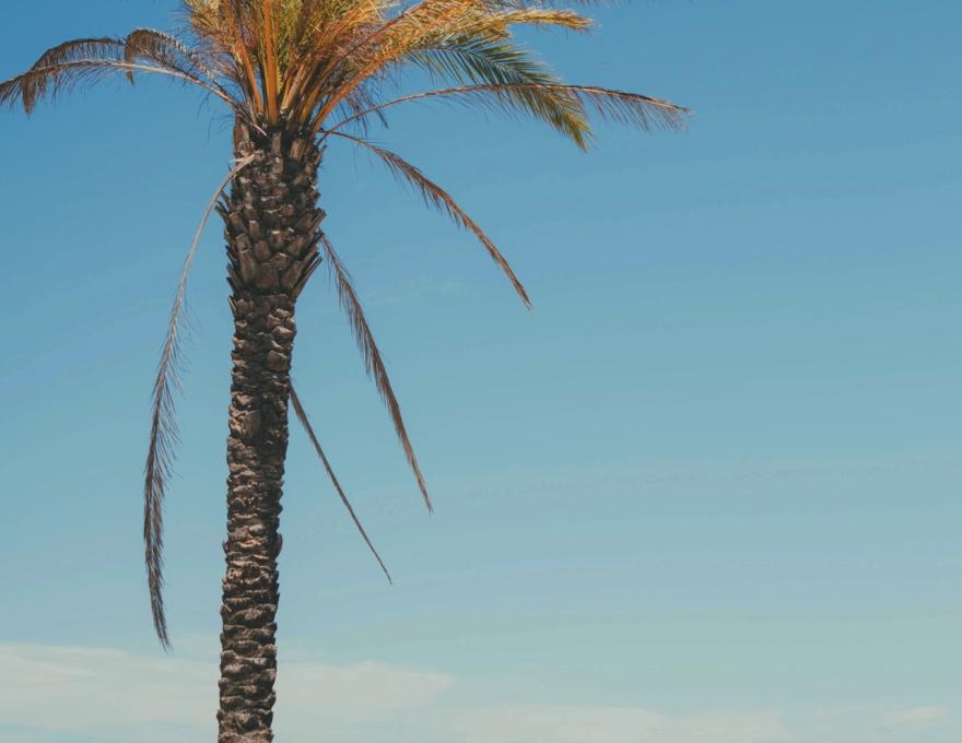 ΠΑΡΑΛΙΑ ΚΥΛΛΗΝΗΣ (ΚΑΣΤΡΟ)4