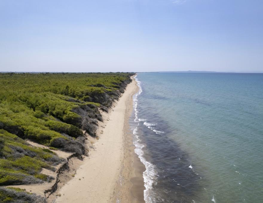 ΠΑΡΑΛΙΑ ΜΑΝΩΛΑΔΑΣ4