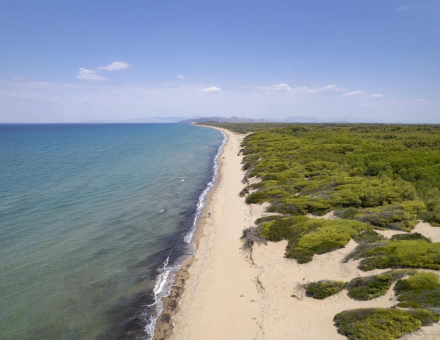 ΠΑΡΑΛΙΑ ΜΑΝΩΛΑΔΑΣ3