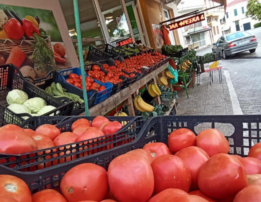 ΦΡΕΣΚΙΑ ΓΩΝΙΑ2