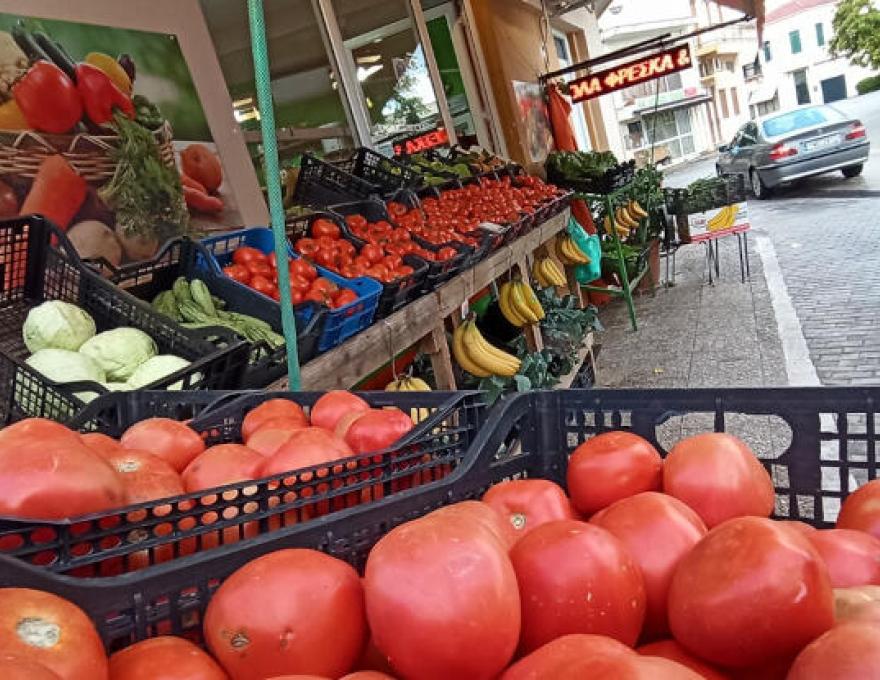 ΦΡΕΣΚΙΑ ΓΩΝΙΑ2