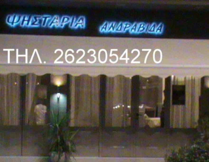 ΨΗΣΤΑΡΙΑ ΑΝΔΡΑΒΙΔΑ2