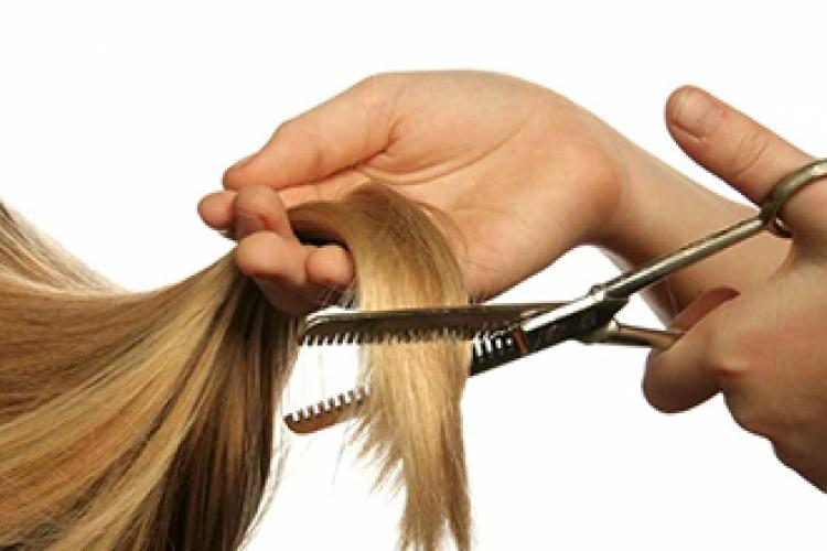 ΝΑΣΤΟΣ ΣΤΑΥΡΟΣ & ΔΗΜΗΤΡΗΣ