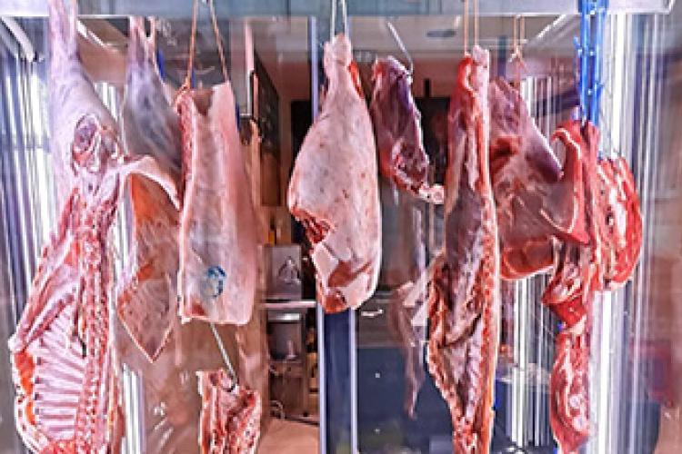 ΣΩΤΗΡΗΣ ΚΟΥΤΡΟΥΛΗΣ