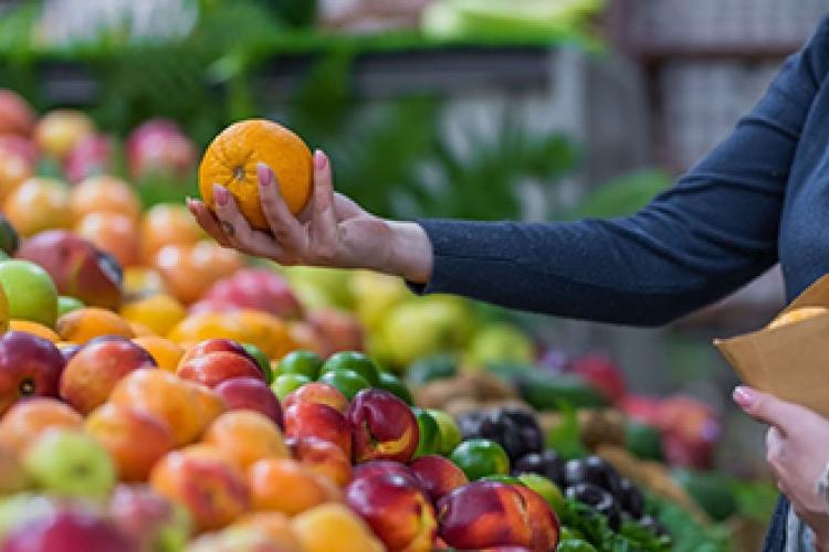 ΦΡΟΥΤΑΓΟΡΑ - ΒΑΣΙΛΙΚΗ ΚΑΡΑΛΑΓΑ