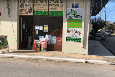 ΓΑΛΑΝΗΣ ΕΥΘΥΜΙΟΣ