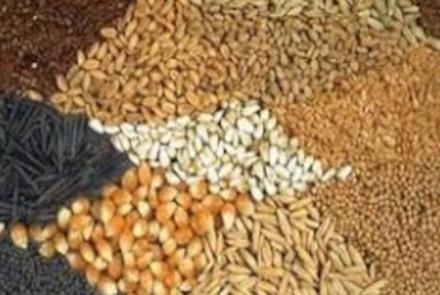 ΕΨΙΜΟΥ ΜΑΡΙΑ