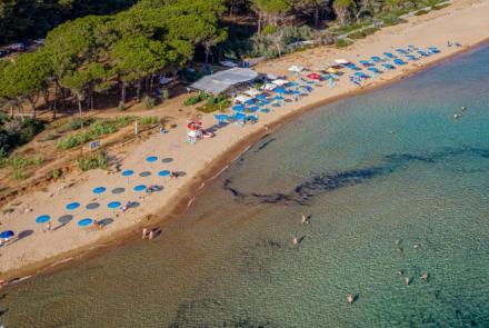 ΠΑΡΑΛΙΑ ΓΛΥΦΑ