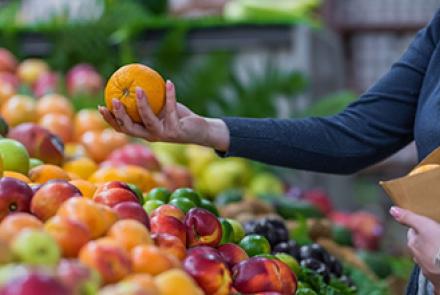 ΦΡΟΥΤΑΓΟΡΑ - ΒΑΣΙΛΙΚΗ ΚΑΡΑΛΑΓΑ